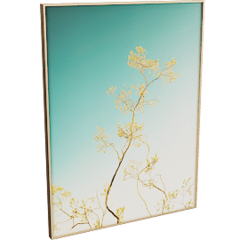 Perspective view of Niqui Carter, Desert Flower