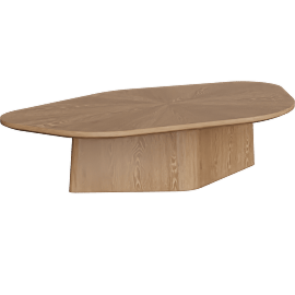 Perspective view of Roche Brown Ash Low Coffee Table
