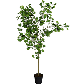 Perspective view of Potted Faux Ginkgo Tree 8'