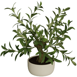 Perspective view of Potted Faux Olive Tree 20"